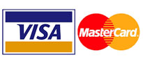 ZPayment with Visa